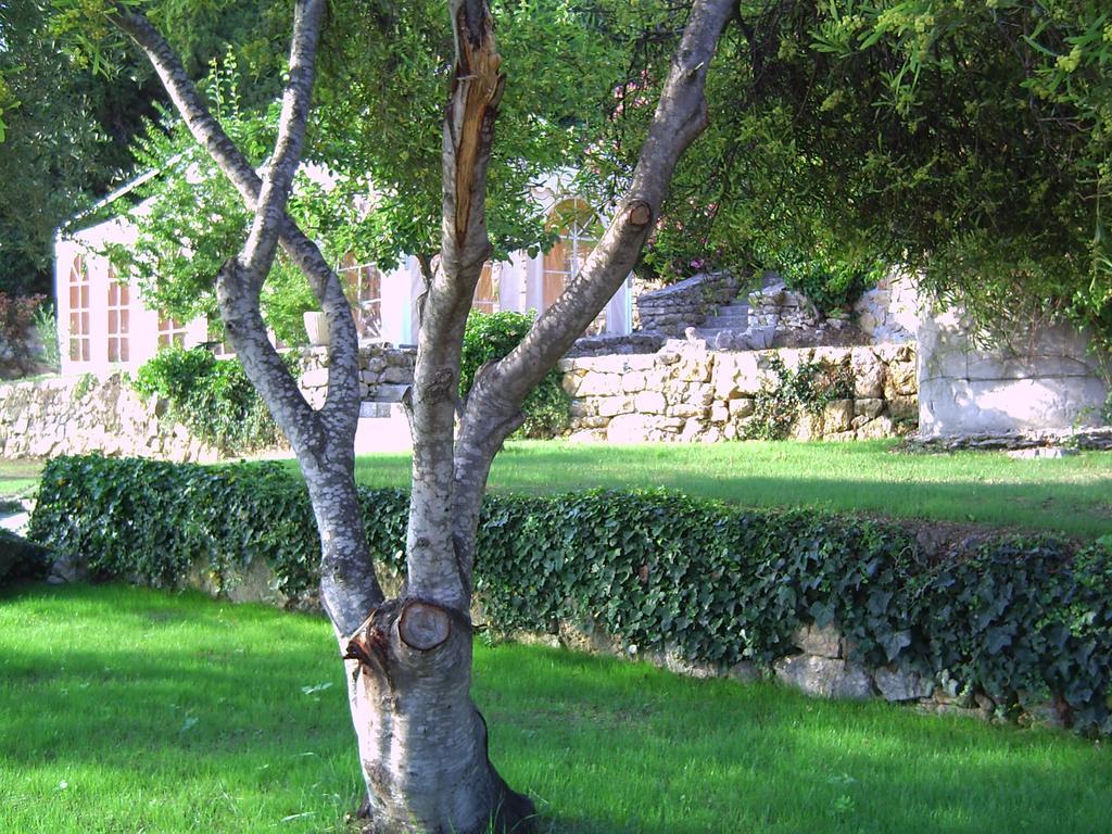 فيلا Domaine Du Mont Leuze فيليوفرُنش سور مير المظهر الخارجي الصورة